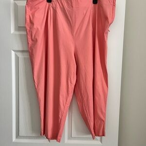 Fashion Bug Stretch Coral Pants
